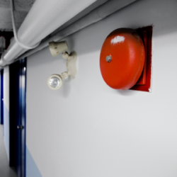 Artboard 4 e1706360586911